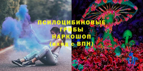 спайс Нея