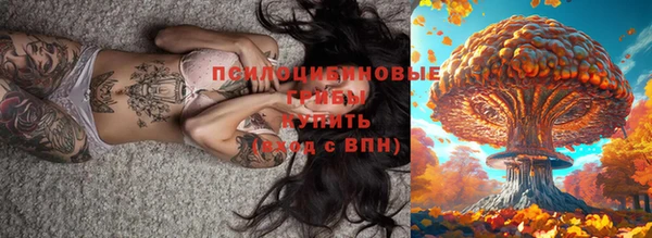 эйфоретик Абаза