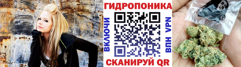 цены наркотик  Сураж  Марихуана тримм 